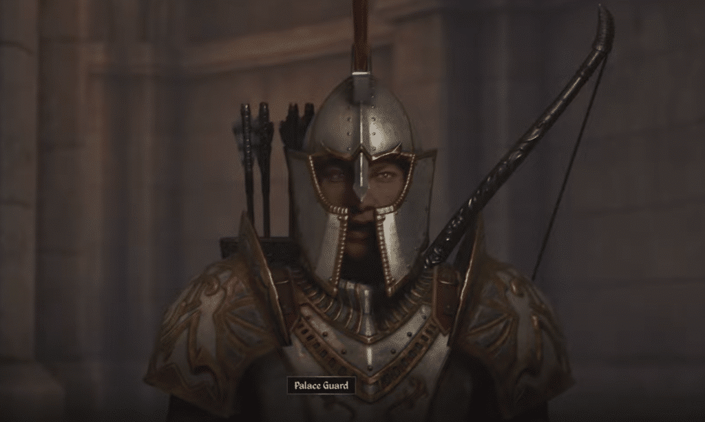 TES 4 oblivion remastered imperial palace guard